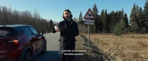 Arvestuslikult juhtub aastas Eesti teedel ligi 10 000 metsloomaõnnetust