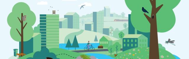 Looduskaitsekuu kutsub märkama ja hoidma loodust linnas