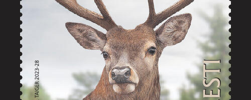 Eesti fauna margiseeria sai täiendust: uuel margil on kujutatud punahirve