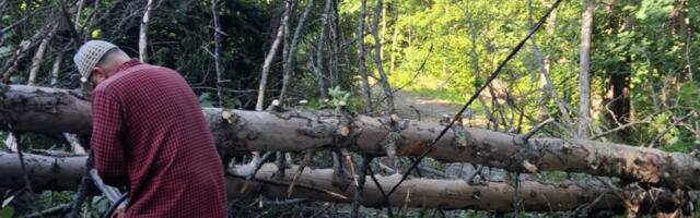 TORMIGALERII: marutuul murdis Randveres teele puid