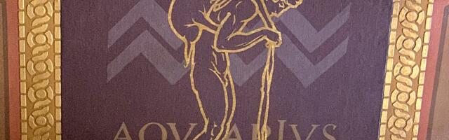 Lõunaeestlase horoskoop: VEEVALAJA 2026