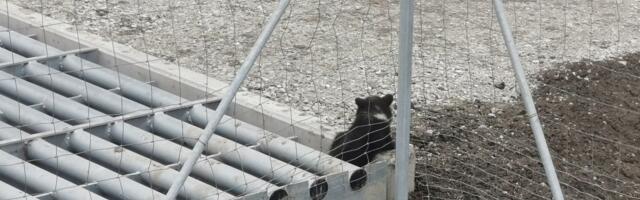 Lõuna päästekeskuse päästjatel oli töine nädalavahetus