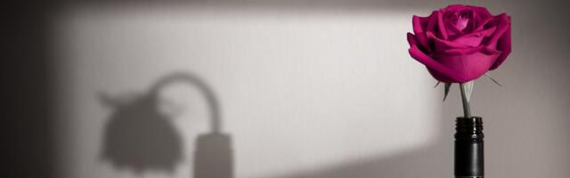 Ära otsi vabandusi! Käitumisviisid, mis ennustavad juba varakult, et see suhe saab olema keeruline