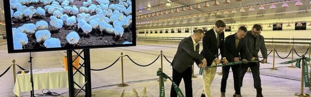 Maag Food avas Tapal kanala