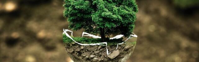 Väikeettevõtteid suunab ökoinnovatsiooni poole äripartnerite surve