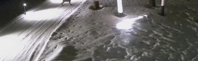 ILVES LUUSIB TAAS: vaata turvakaamera videosid