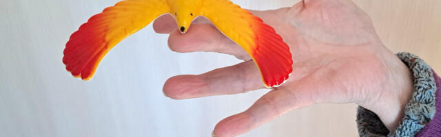 ERKKI PEETSALU: KUTSUME KÕIKI HARIDUSASUTUSI KORRALDAMA VAIMSE TERVISE TALGUID