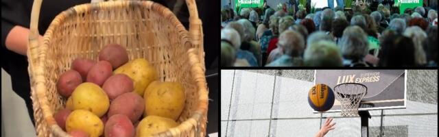 Eakate festivali suurim küsimus: kui palju kaalus kartulikorv?