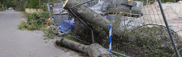 Piret Tali: Eesti Energia ja Elektrilevi kasum on sadu miljoneid, aga meie istume päevi elektrita! Mis mõttes?