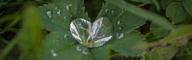 Rohelisem Põlvamaa arutles arenguvõimaluste üle ja tegi tulevikuplaane