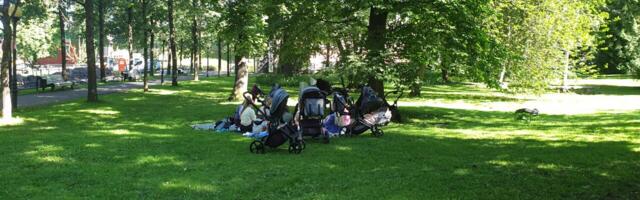 Ettevõtja Indrek Neivelt tuule-energia toetamisest ja laste mittetoetamisest: see peab olema unenägu