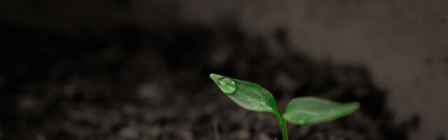 Euroopa rohepöörde võtmevaldkonnad vajavad lisameetmeid