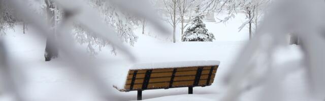 Sünoptik: järgnevate päevadega tuleb kõvasti lumelisa