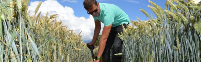 Keeruka suve kiuste kasvatati tänavu Eesti nisurekord