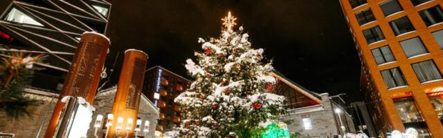 Rotermanni jõuluturg pakub elamusi tervele perele: Lotte külaskäik, jõulukokteilide võistlus ja valgusetendused