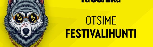 Suve kuumim tööpakkumine tuleb taas! Kroonika otsib endale Festivalihunti