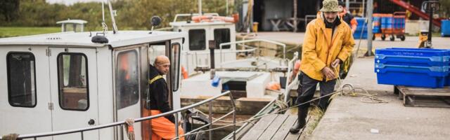 Eesti ja Venemaa teadlaste ettepanekul lepiti kokku 2026. aasta püügivõimalused Peipsi, Pihkva ja Lämmijärvel