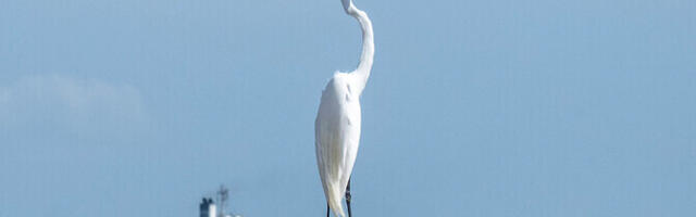 Venezuela naftaeksport kasvas USA võimu all järsult