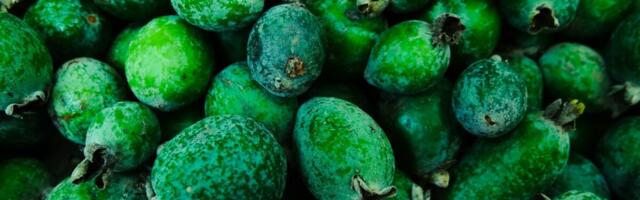 Sotšis avati Venemaa esimene subtroopiliste kultuuride aretuskeskus