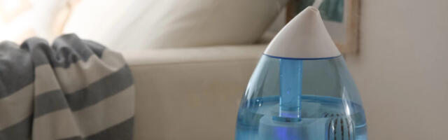 Ostujuht: 7 nippi, mille põhjal valida algavaks kütteperioodiks enda koju õhuniisuti