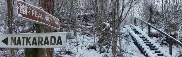 Mõistatusi täis paiga vähe räägitud lugu: salatee, aarded, saarlaste jumala sünnipaik