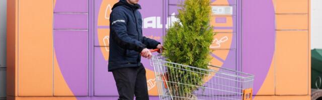 Käiberaport | Kes ehitusmaterjalide müüjatest enim kasvas ja kes langes?