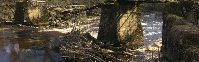 Kalade vabaduse nimel eemaldatakse neli Pärnu jõestiku paisu