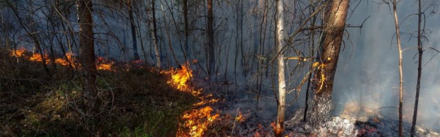 Lääne-Viru metsades hakkasid tuleohu tõttu kehtima piirangud