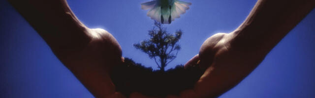 Paljastatud kaugmõjutamise saladused. 1. osa. Kuidas luuakse paradiisi ja põrgut.