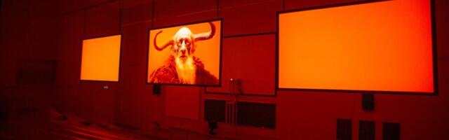 Härjapõlvlaste kaitseala