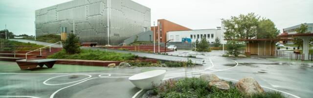 VIIELINE JÄETI ESIALGU GÜMNAASIUMI UKSE TAHA: „Ema oli kaks päeva töövõimetu, nuttis kodus.“