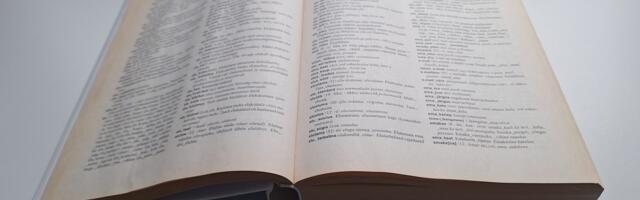 AJA VIIDE: Hando Runnel emakeelest