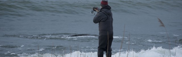 Valitsus kinnitas ajakohastatud kalapüügipiirangud