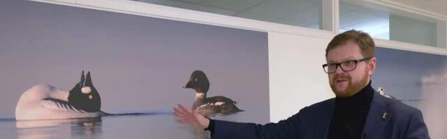 PERHi uues korpuses avati linnupiltide näitus