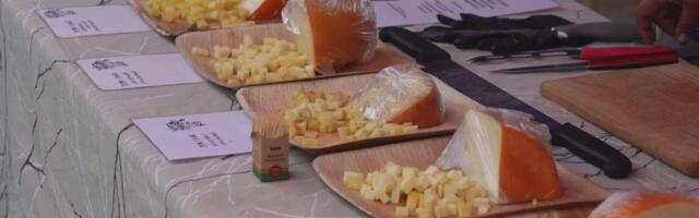 Mida põnevat toimus piimapäeval?