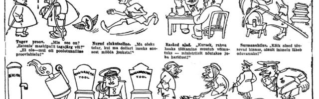 Kas eestimaalased arvavad, et Eesti Vabariigil on edaspidigi  sünnipäevi?