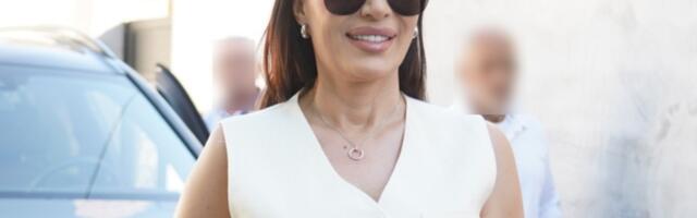 Recept koji će sve domaćice obožavati: Omiljena pita Cece Ražnatović postala je pravi hit