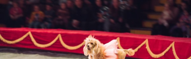 Me peame rääkima maskidest