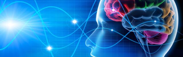 Ajuskaneering paljastab, millest inimesed elu viimastel hetkedel mõtlevad