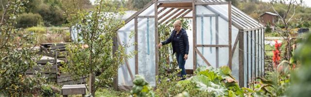 LAHE AED | Talveaiast saab jälle kasvuhoone