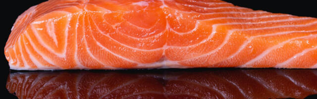 Ringkonnakohus nõustus suures osas listeeria kaasuses Põllumajandus- ja Toiduameti seisukohtadega