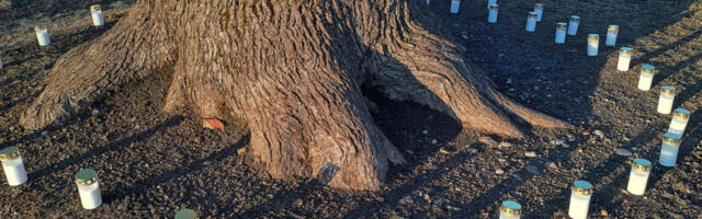 TÄNA MEENUTATAKSE 77 AASTA TAGUST BARBAARSUST EESTI RAHVA VASTU