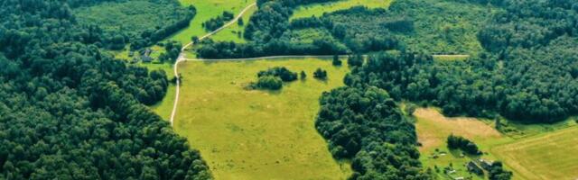 Märtsi lõpus 31.03 saabub esimene maamaksu tasumise tähtaeg