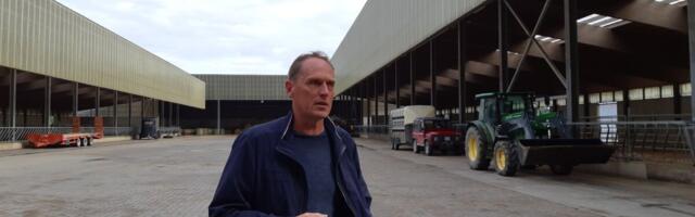 Otse taevast: lihaveisekasvataja kasumireale potsatas pea 50 miljonit eurot