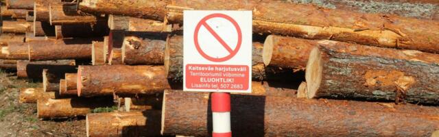 Transpordiamet: meie tee-ehituse raadamistasu kinni ei maksa