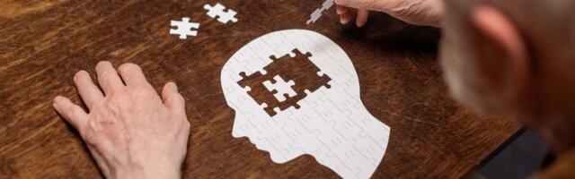 UURING ⟩ Teadlased leidsid, et just selle populaarse toiduaine söömine vähendab dementsuse riski