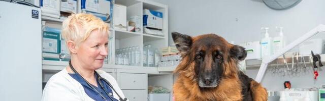Maailmatasemel veterinaar valis metropolide asemel Muhu saare