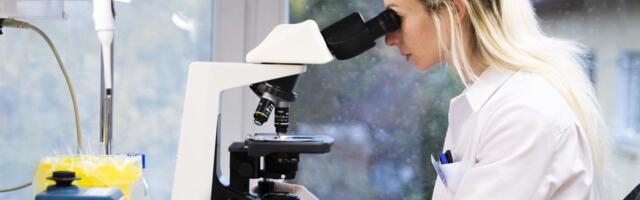 Teadlased arendasid välja uue kodumaise silobakteri, mis avardab ka Eesti eksporditurgu