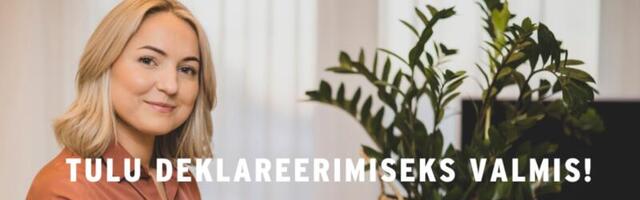 Enne tulude deklareerimist kontrolli dokumentide kehtivust ja PIN-koodide olemasolu