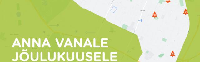 Kristiine linnaosa vanad jõulukuused lähevad soojuse ja elektri tootmiseks